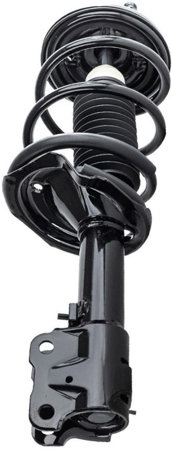 Front Right Strut w/Coil Spring - 172504