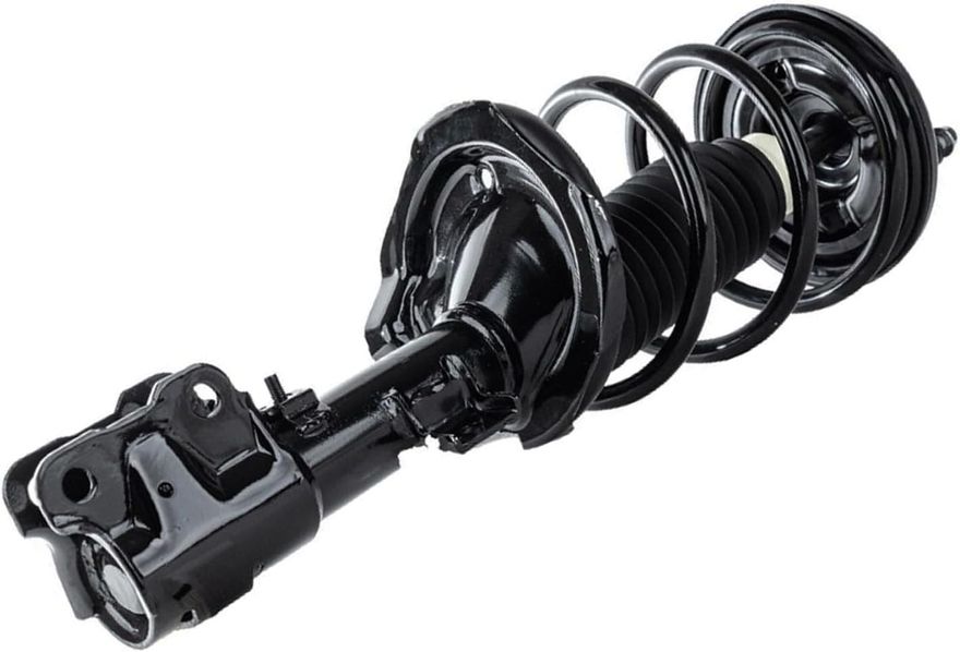 Front Strut w/Coil Spring - 172504 / 172505