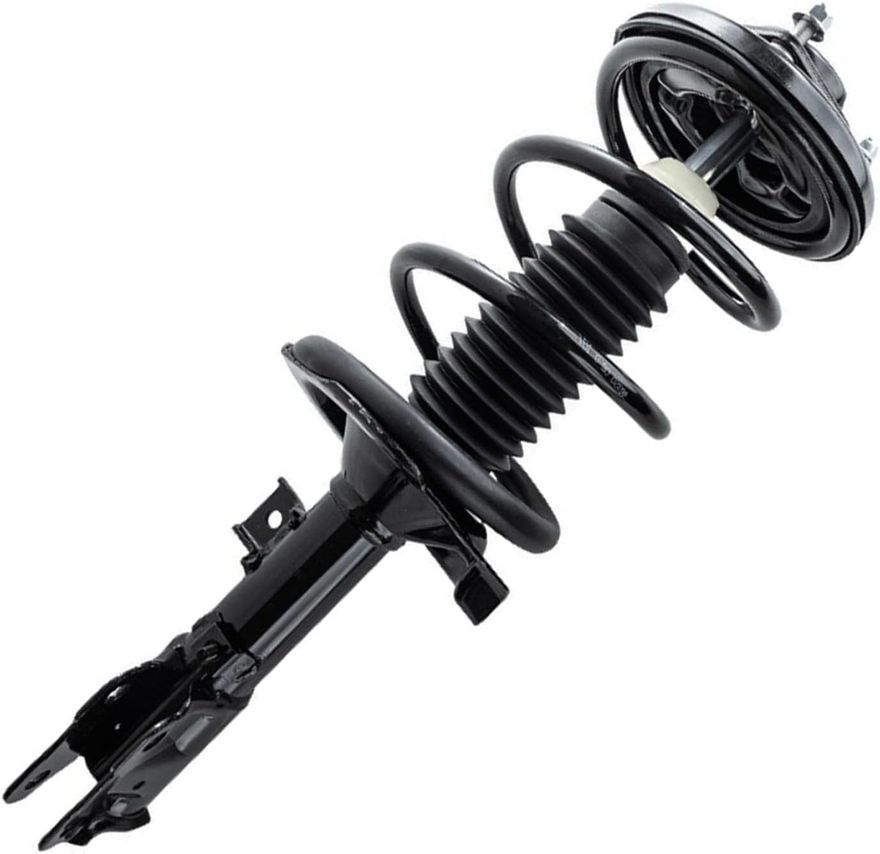 Front Strut w/Coil Spring - 172504 / 172505