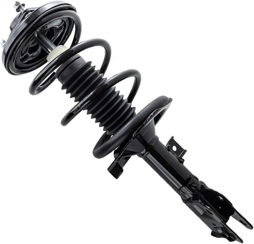 Front Strut w/Coil Spring - 172504 / 172505