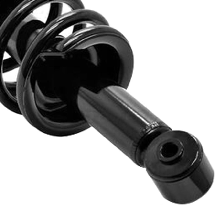 Rear Strut w/Coil Spring - 172508