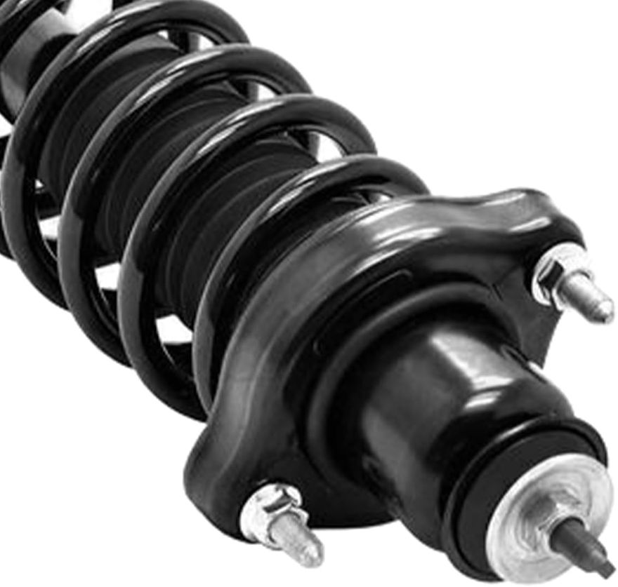 Rear Strut w/Coil Spring - 172508