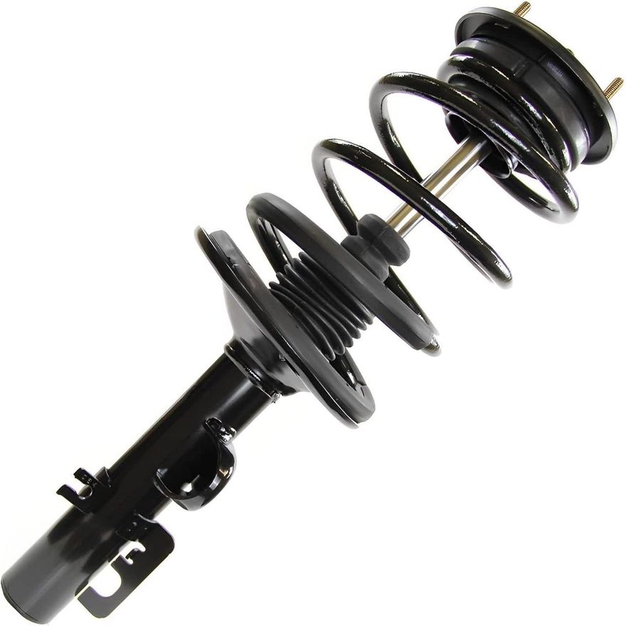 Front Struts w/Coil Spring (Pair)