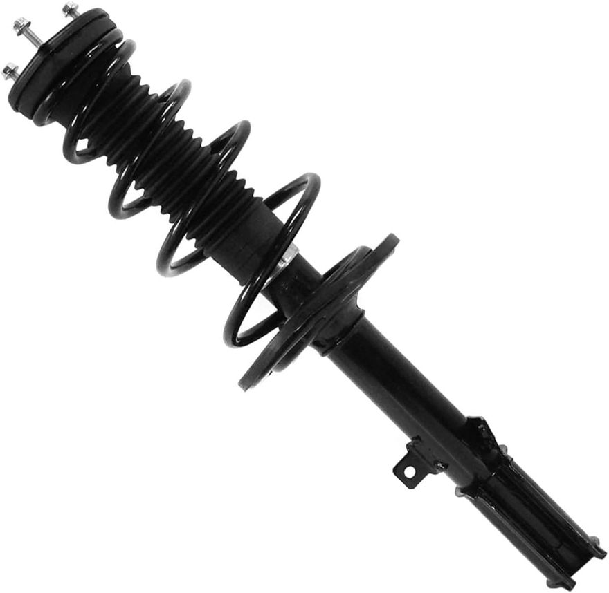 Rear Strut w/Coil Spring - 172640 / 272309