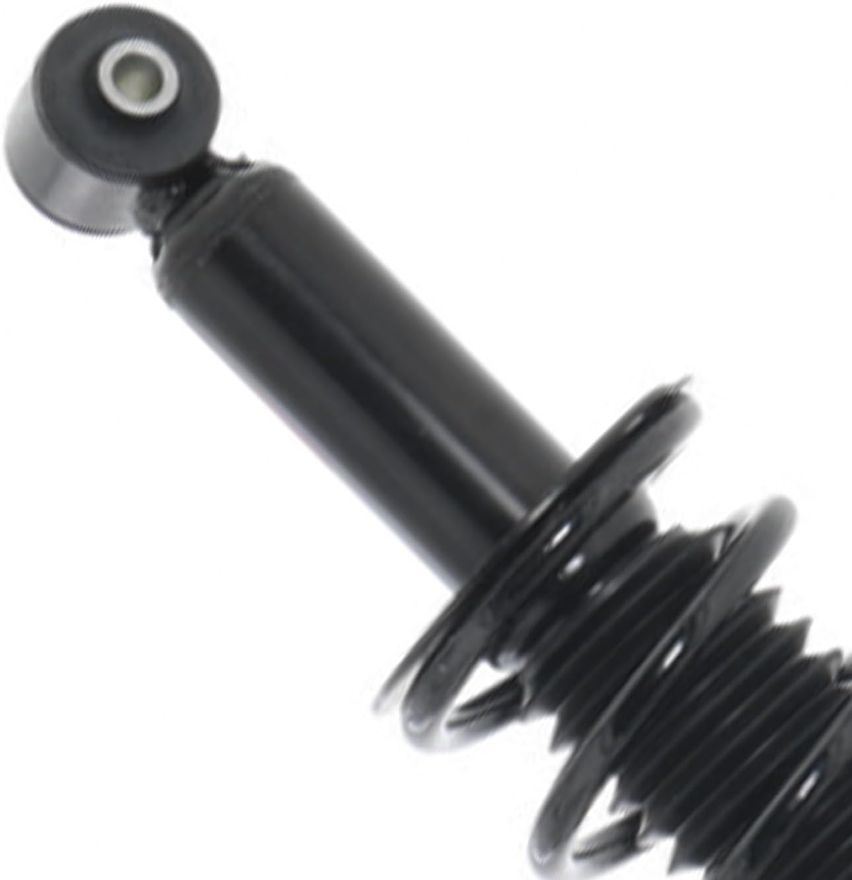 Rear Strut w/Coil Spring - 172690