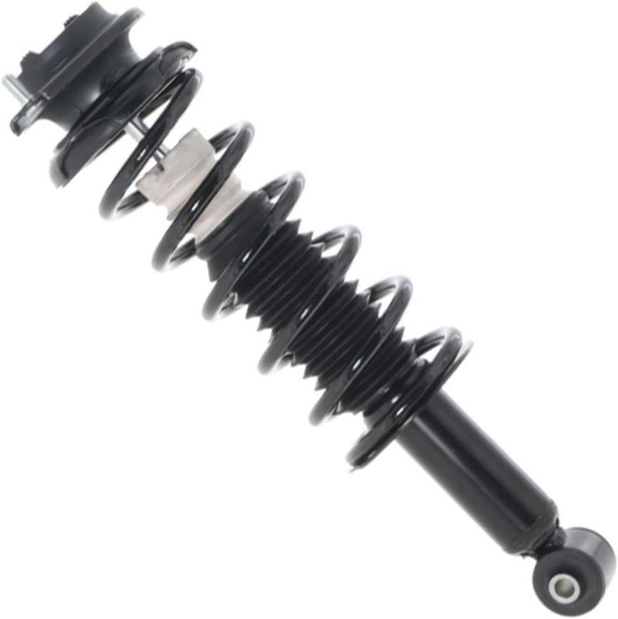 Rear Strut w/Coil Spring - 172690