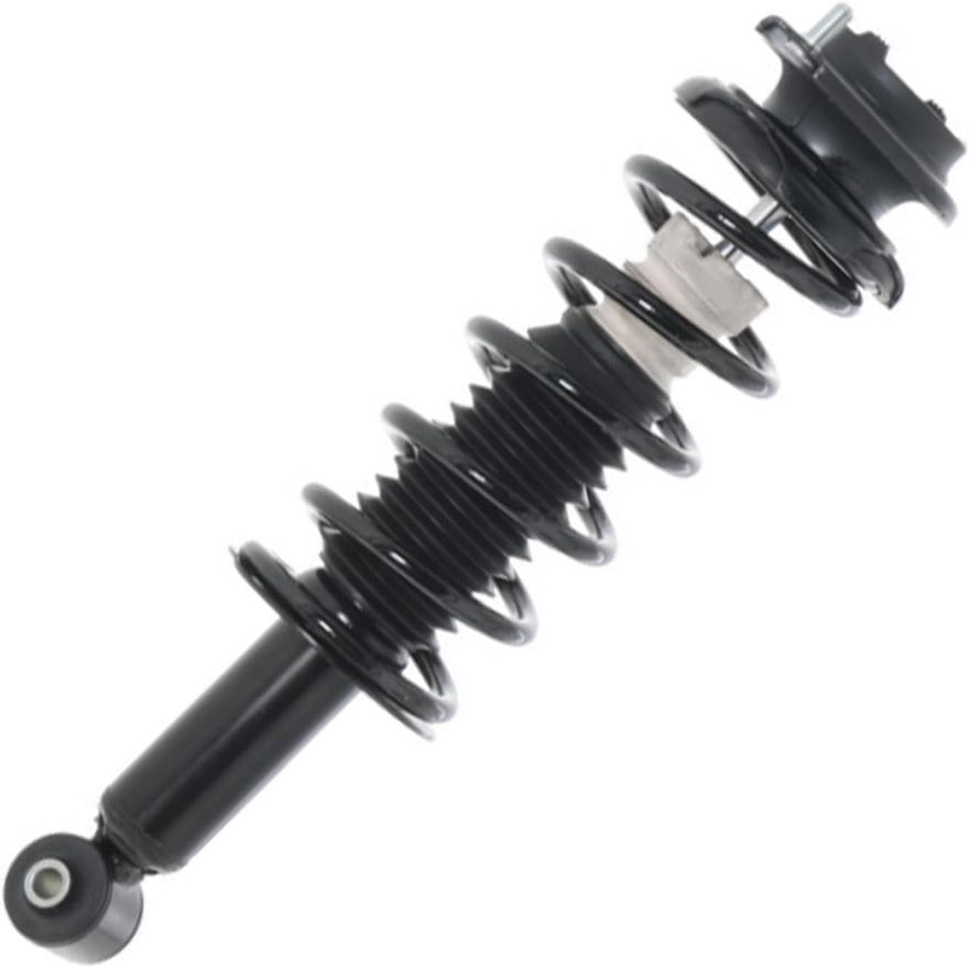 Rear Strut w/Coil Spring - 172690 x2