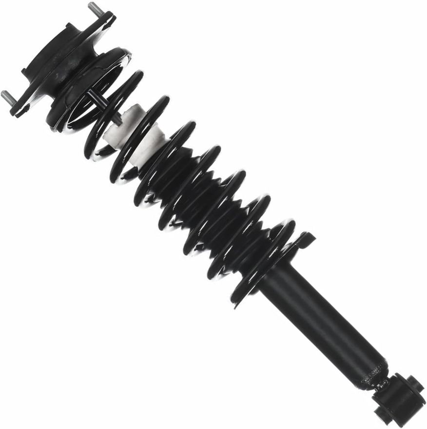 Rear Strut w/Coil Spring - 172691