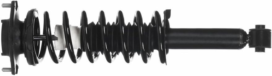 Rear Strut w/Coil Spring - 172691