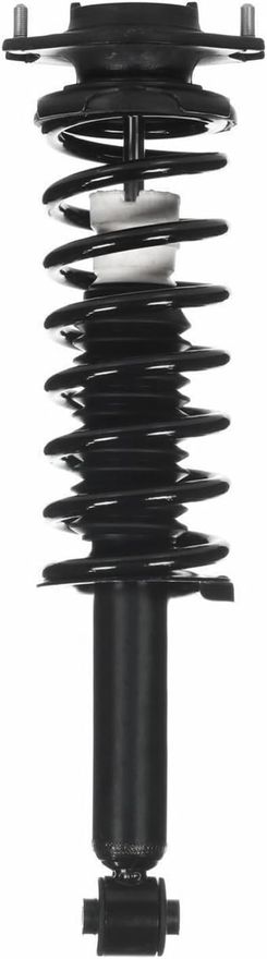 Rear Strut w/Coil Spring - 172691