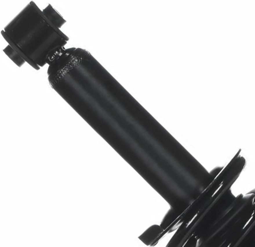 Rear Strut w/Coil Spring - 172691 x2