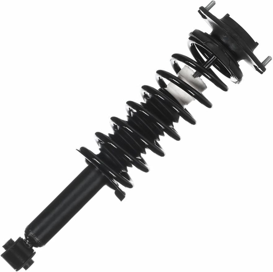 Rear Strut w/Coil Spring - 172691 x2