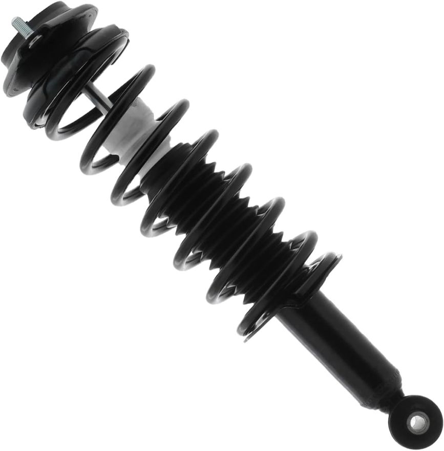 Rear Strut w/Coil Spring - 172696