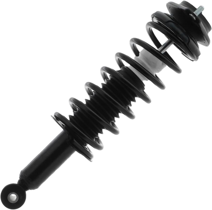 Rear Strut w/Coil Spring - 172696 x2