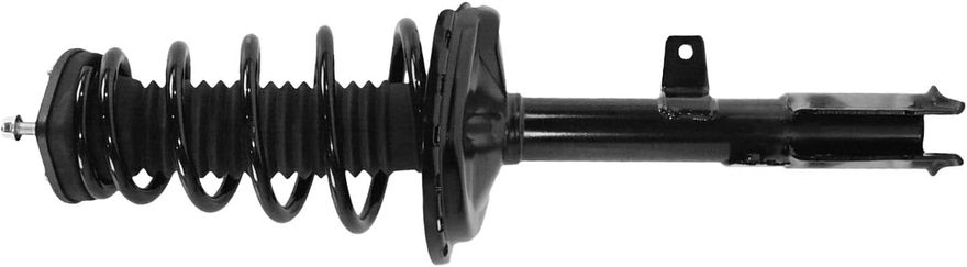 Rear Left Strut w/Coil Spring - 172764