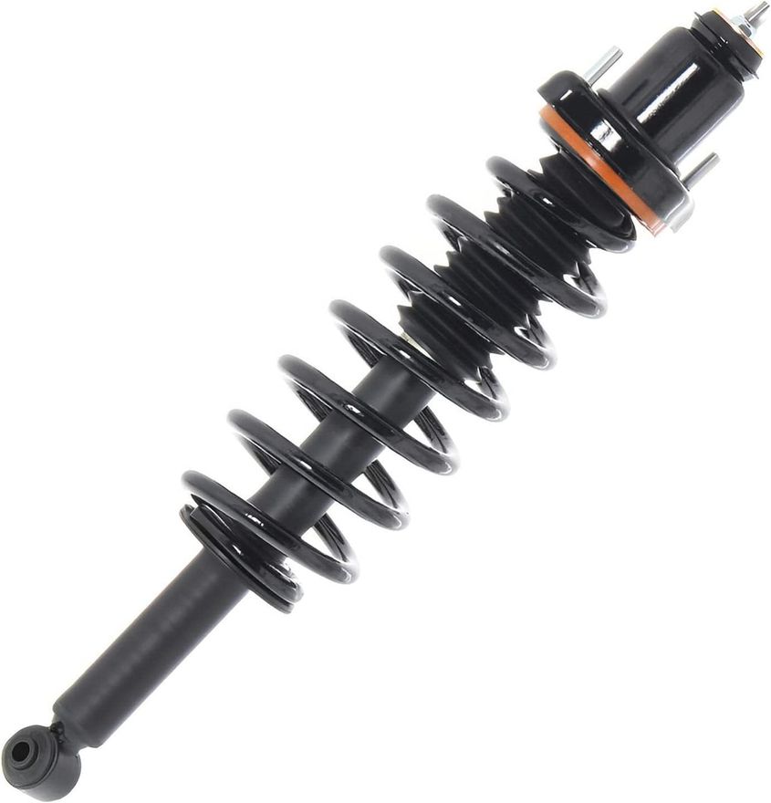 Main Image - Rear Strut w/Coil Spring