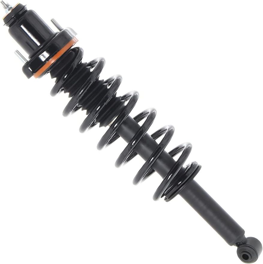 Rear Strut w/Coil Spring - 172895