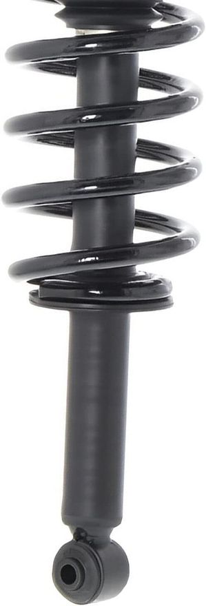 Rear Struts w/Coil Spring - 172895 x2