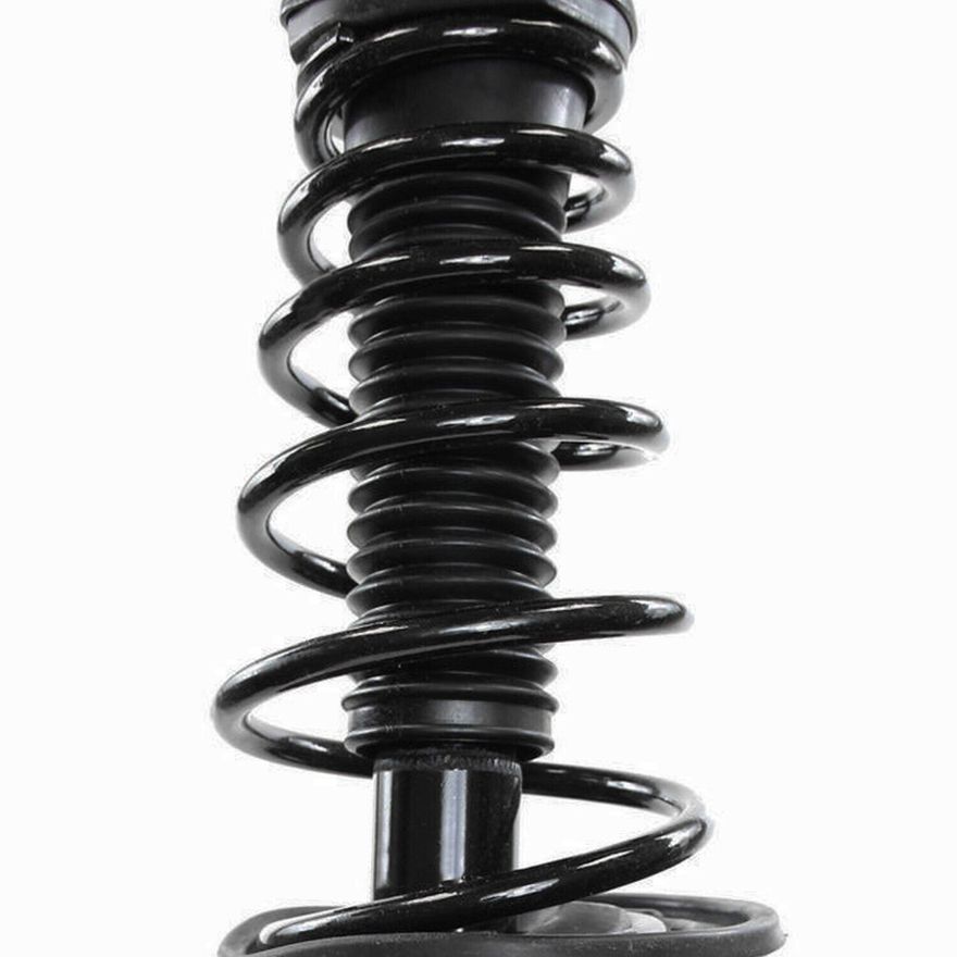 Rear Right Strut w/Coil Spring - 172942