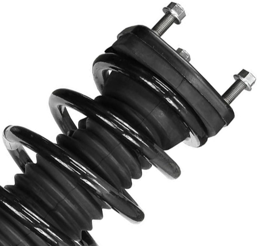 Rear Right Strut w/Coil Spring - 172213