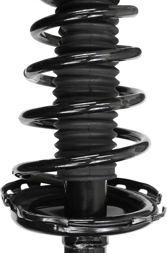 Rear Strut w/Coil Spring - 172213 / 172214