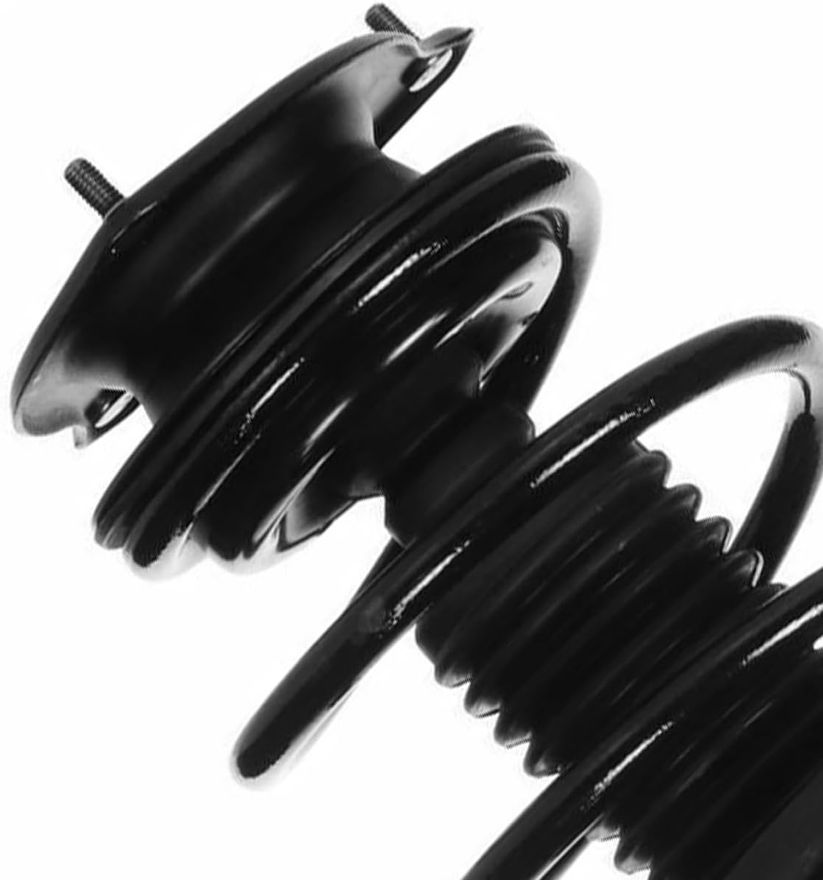 Front Strut w/Coil Spring - 172265 / 172266