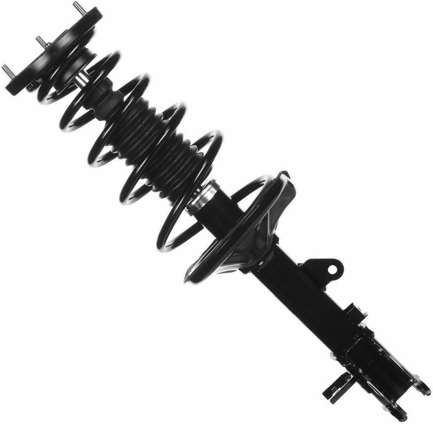 Rear Strut w/Coil Spring - 172303 / 172304