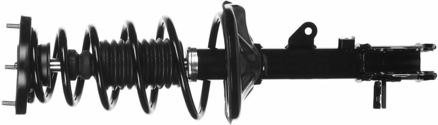 Rear Left Strut w/Coil Spring - 172304