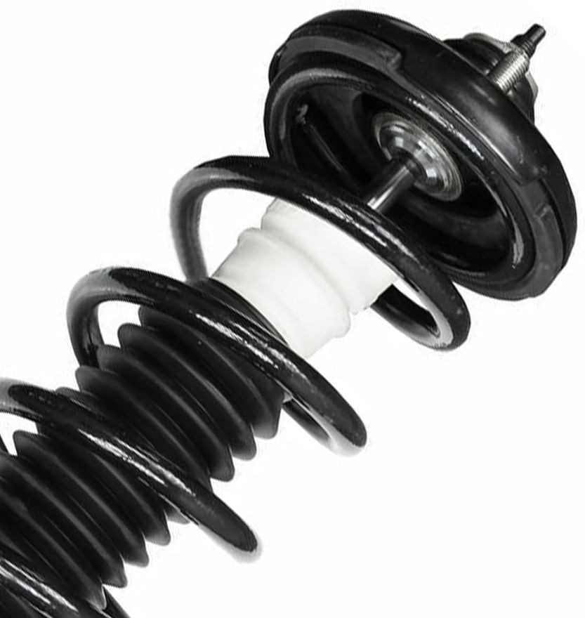 Rear Strut w/Coil Spring - 172324 x2