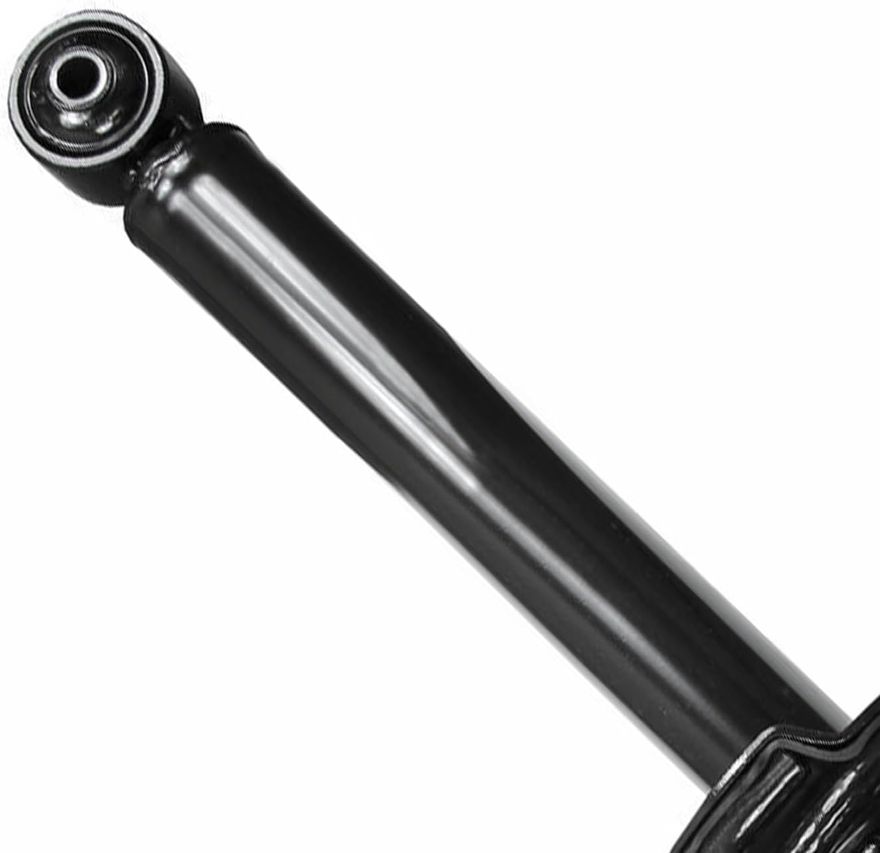 Rear Strut w/Coil Spring - 172324 x2