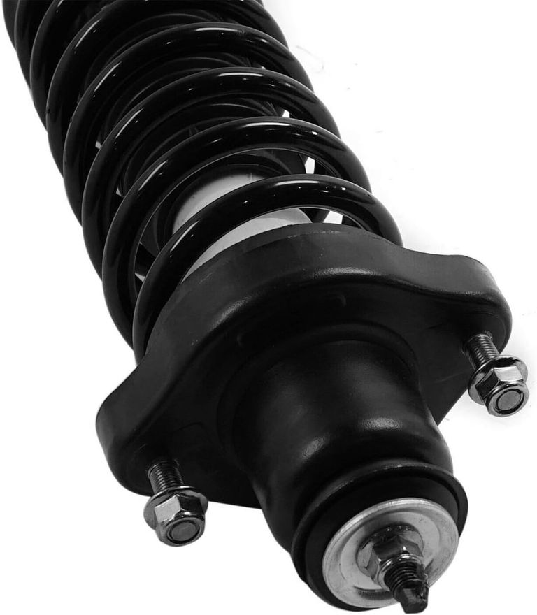 Rear Strut w/Coil Spring - 172399