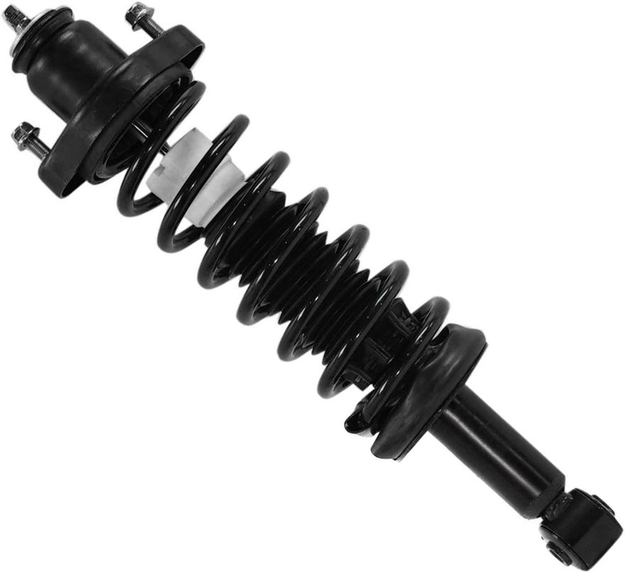 Rear Strut w/Coil Spring - 172399