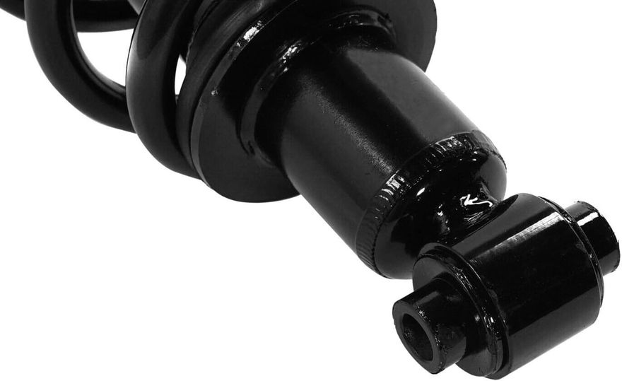 Rear Strut w/Coil Spring - 173029L / 173029R