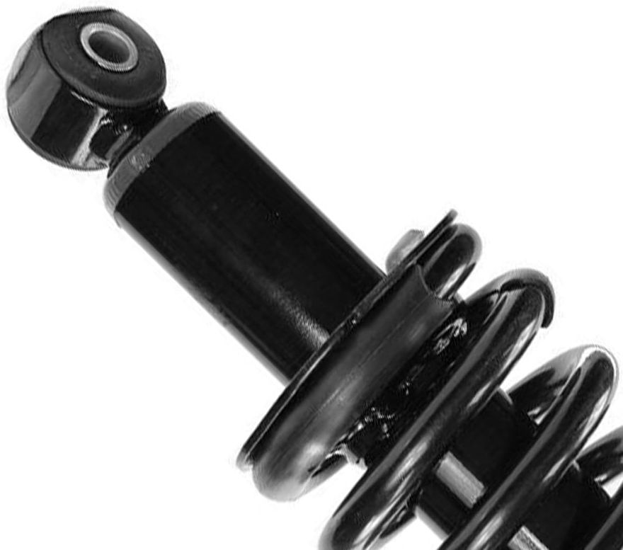 Front Strut w/Coil Spring - 181102 x2