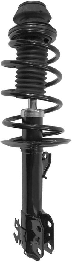 Front Strut w/Coil Spring - 272441 / 272442