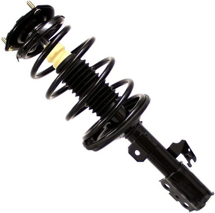 Rear Struts w/Coil Spring - 272489 / 272490