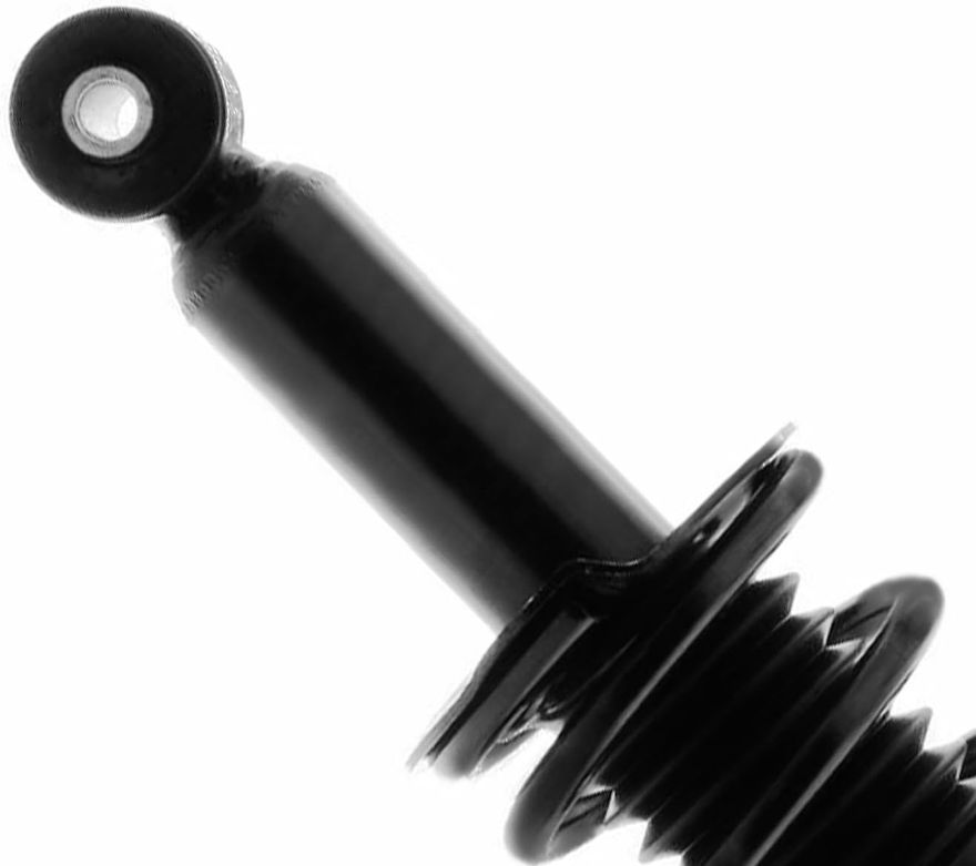 Rear Strut w/Coil Spring - 272696