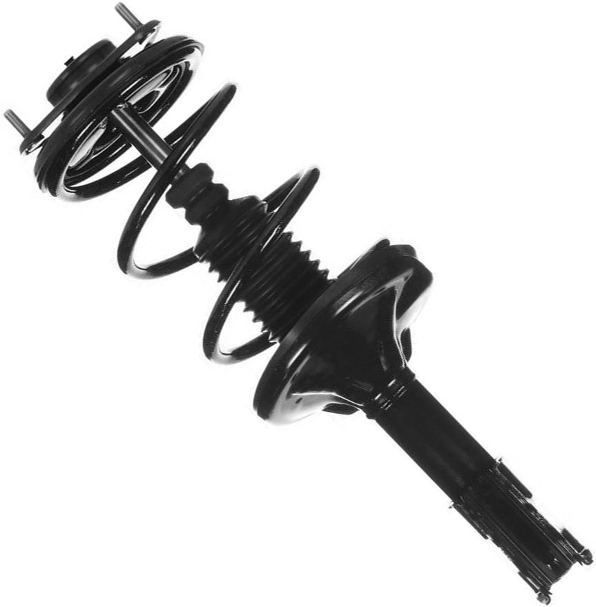 Front Strut w/Coil Spring - 272142