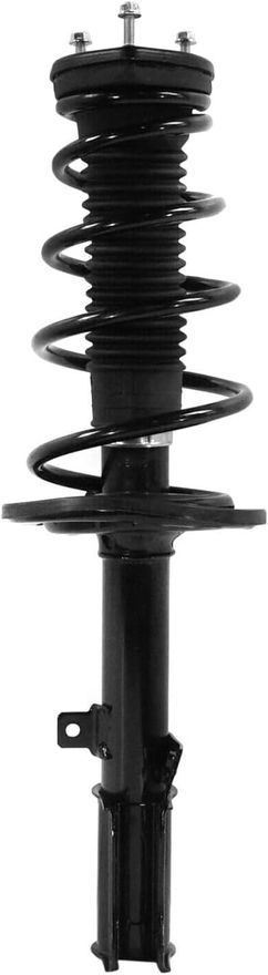 Rear Right Strut w/Coil Spring - 272309