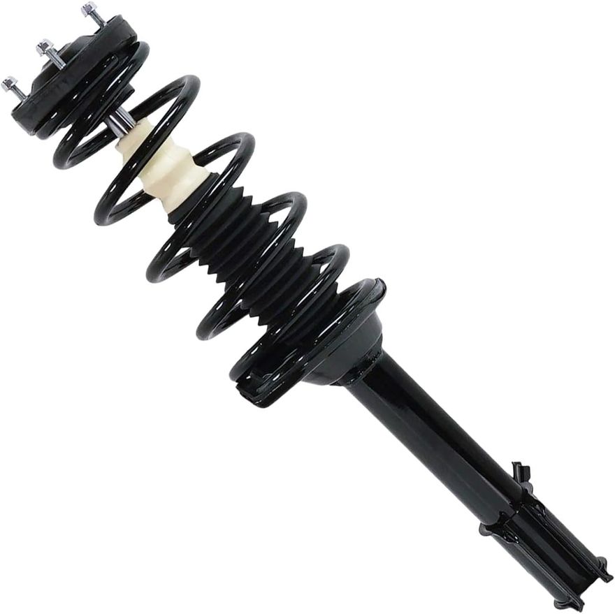 Rear Strut w/Coil Spring - 272382 / 272383