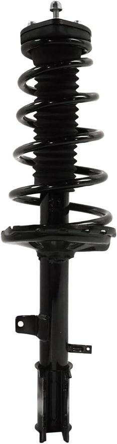 Rear Strut w/Coil Spring - 372489 / 372490