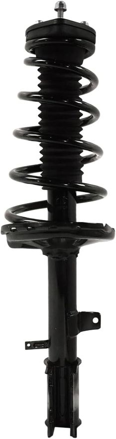 Rear Strut w/Coil Spring - 372489 / 372490