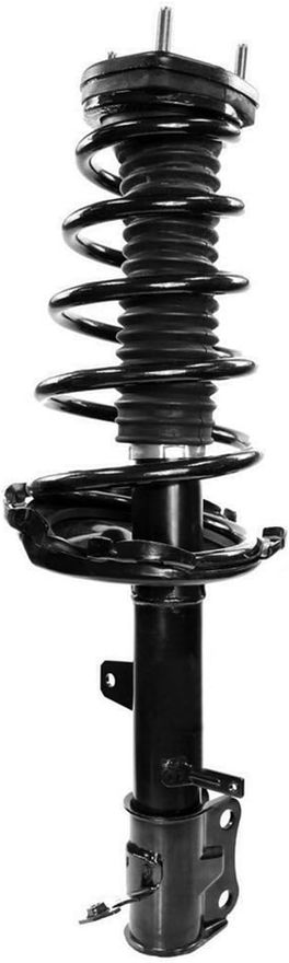 Rear Strut w/Coil Spring - 372215 / 372216