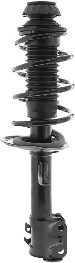 Front Strut w/Coil Spring - 372288 / 372289