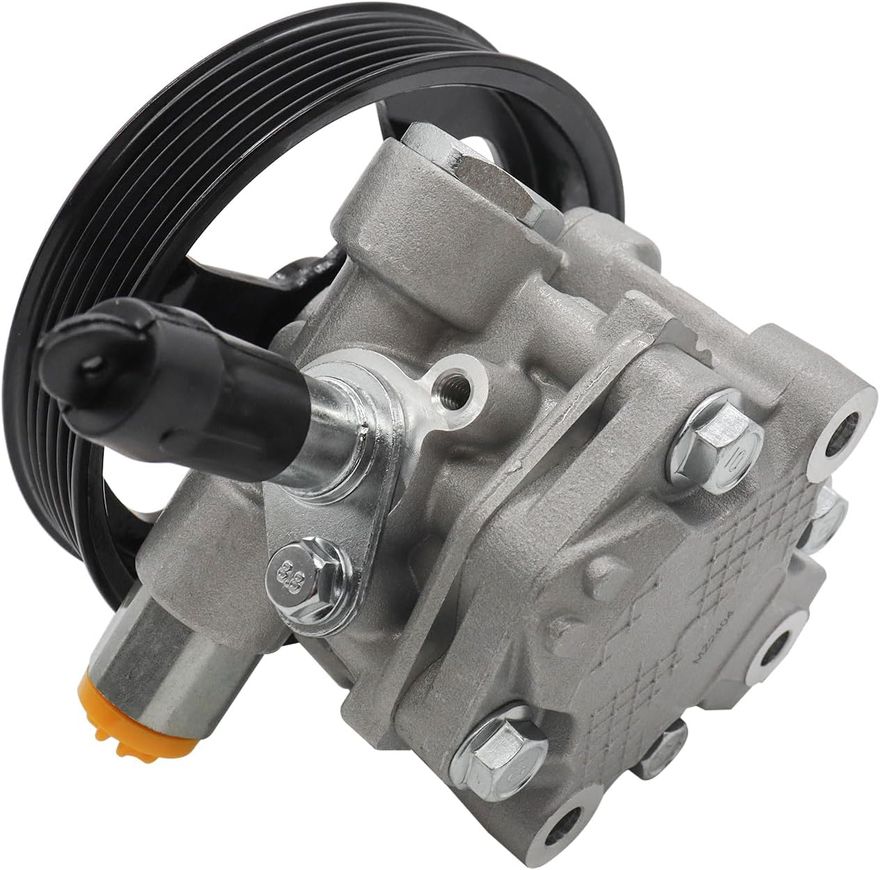 Power Steering Pump with Pulley - PP2402