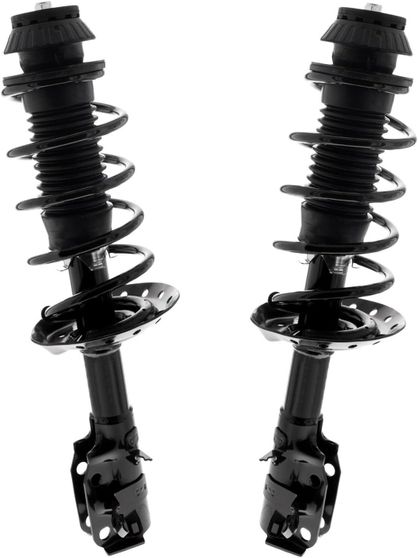 Front Struts w/Coil Spring (Pair)