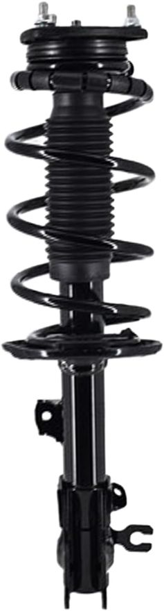 Front Right Strut w/Coil Spring - SR57811