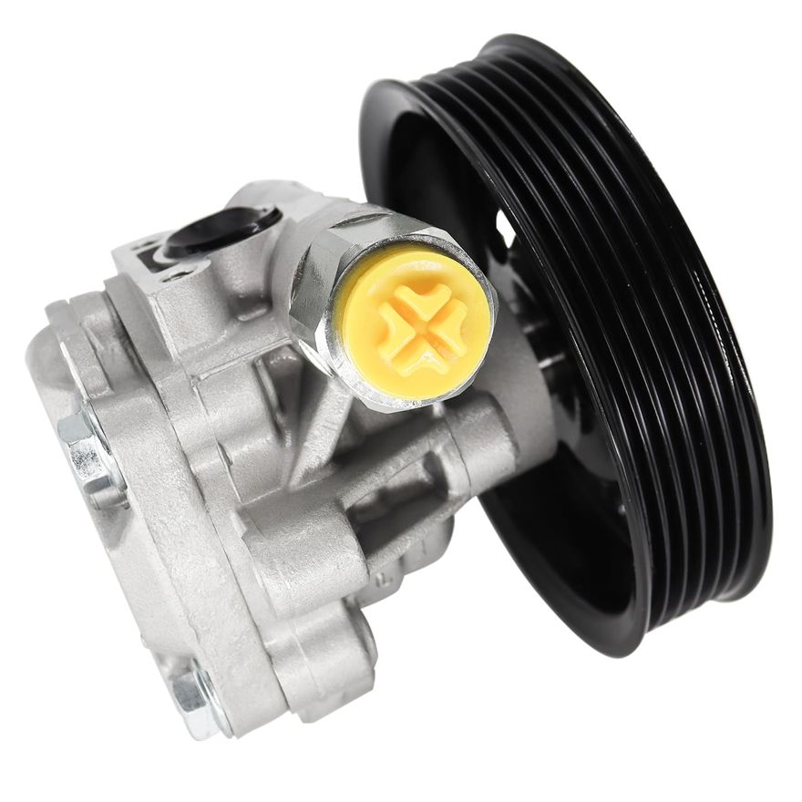 Power Steering Pump with Pulley - PP1039