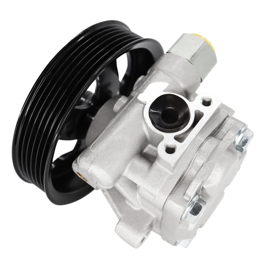Power Steering Pump with Pulley - PP1039
