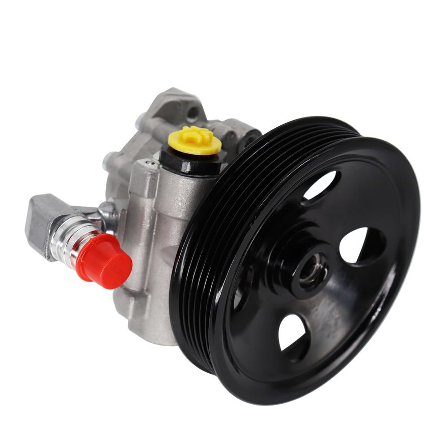 Power Steering Pump with Pulley - PP120